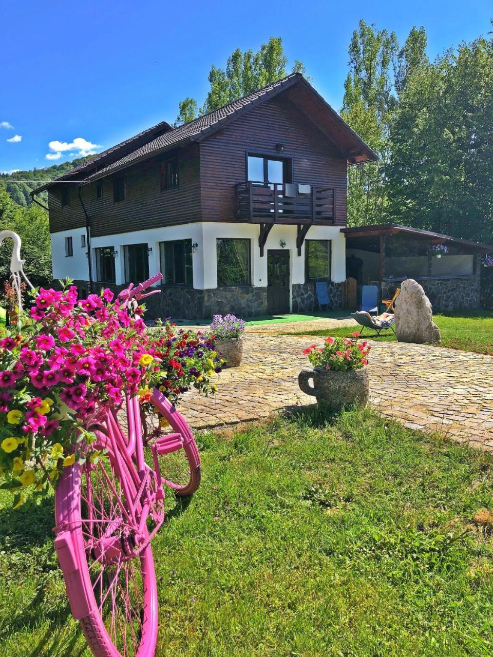 Cabana Din Groapa Frumoasa Rîşnov Exterior foto